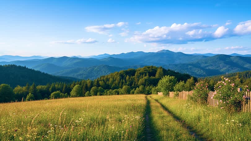 Bieszczady Mountains